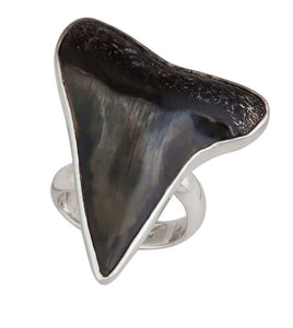 Sterling Silver Fossil Shark Tooth Adjustable Ring