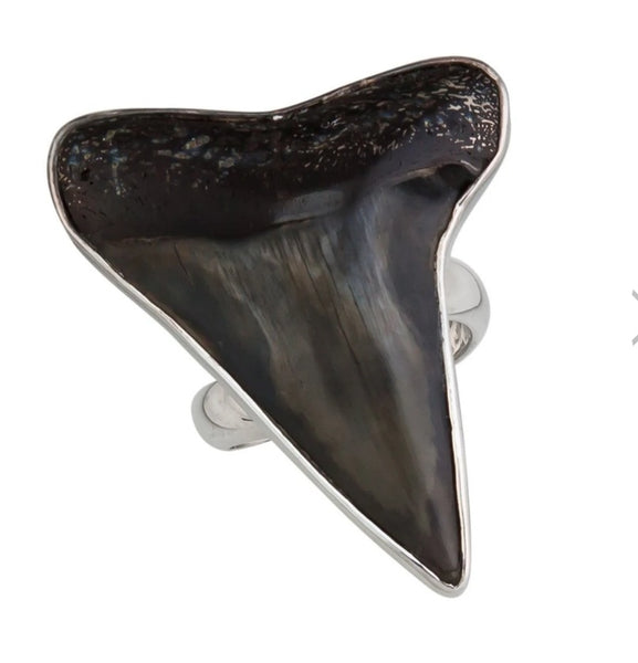 Sterling Silver Fossil Shark Tooth Adjustable Ring