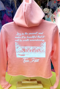 Crop bridge hoodie